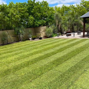Brothers In Yards Yard And Garden Maintenance