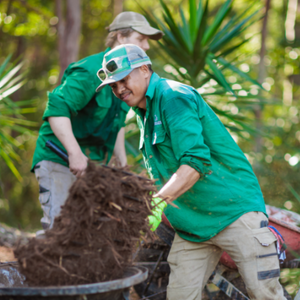 Brothers In Yards Yard And Garden Maintenance