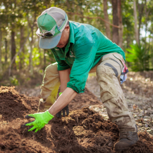 Brothers In Yards Yard And Garden Maintenance