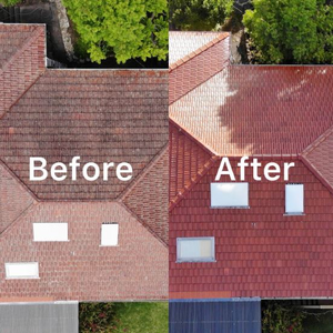 Lion Gutter Cleaning Gutter and Roof Cleaning