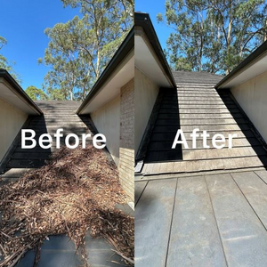 Lion Gutter Cleaning Gutter and Roof Cleaning