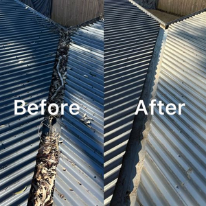 Lion Gutter Cleaning Gutter and Roof Cleaning