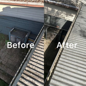 Lion Gutter Cleaning Gutter and Roof Cleaning
