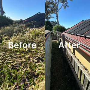 Lion Gutter Cleaning Gutter and Roof Cleaning