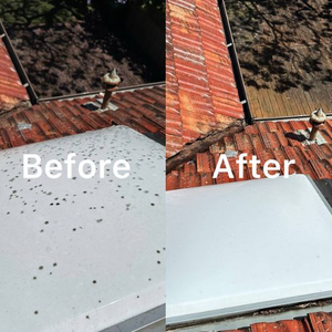 Lion Gutter Cleaning Gutter and Roof Cleaning