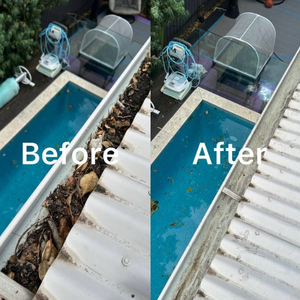 Lion Gutter Cleaning Gutter and Roof Cleaning