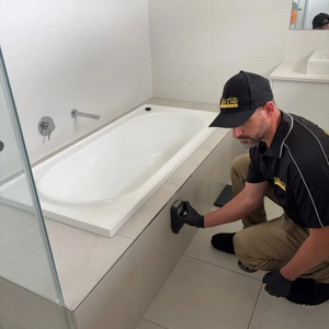 Brisbane Termite and Pest Control Pest and Termite Control