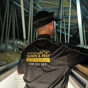 Brisbane Termite and Pest Control Pest and Termite Control