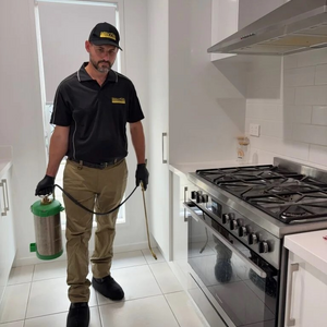 Brisbane Termite and Pest Control Pest and Termite Control