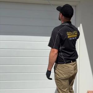 Brisbane Termite and Pest Control Pest and Termite Control
