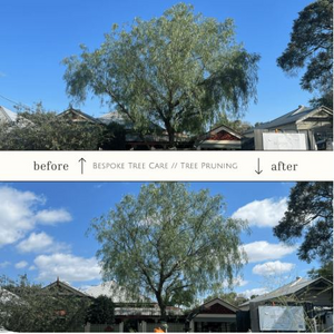 Bespoke Tree Care Bespoke Tree Care