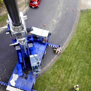 City Tree Services Tree Removal and Arborist Service