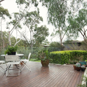 City Tree Services Tree Removal and Arborist Service